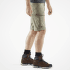 Abisko Midsummer Zip Off Trousers Men