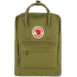 Kanken Foliage Green