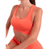 Sutien Icebreaker Merino Seamless Active Bra Women BLACK