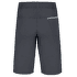 Pantaloni scurți Direct Alpine SOLO anthracite