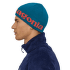 Căciuli Patagonia Beanie Hat Classic Fitz Roy: Andes Blue