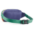 Rinichi Patagonia Terravia Mini Hip Pack Patchwork: Gumtree Green