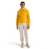 Jachetă Arcteryx Atom Hoody Women Pineberry