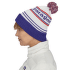 Căciuli Patagonia Powder Town Beanie Park Stripe: Viking Blue