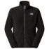 Glacier Fleece Jacket Men TNF BLACK