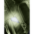 Cotogy